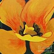 Bloomed Yellow Tulip Painting by Barbara A Griffin - Fine Art America