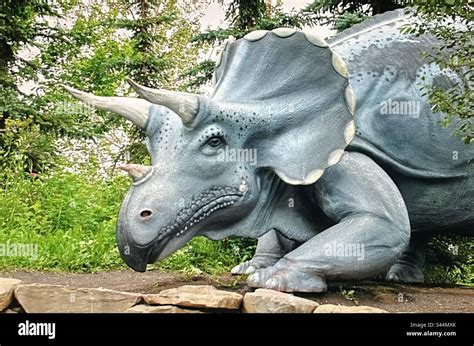 Triceratops Was A Large Heavily Built Dinosaur Prehistoric Dinosaur