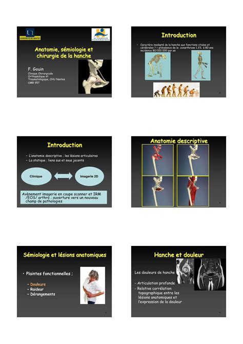 PDF Anatomie sémiologie et chirurgie de la hanchegemoonline fr