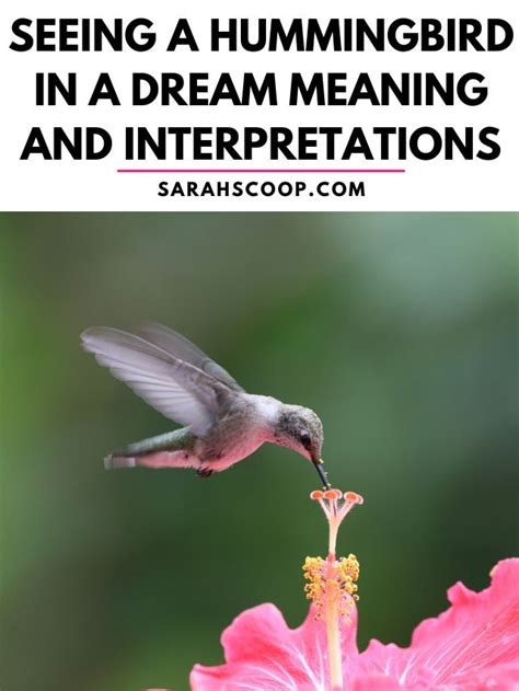 Hummingbird Dream Interpretation Fantasies Liberating Quietude