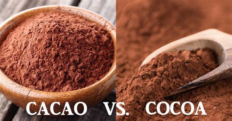 Cacao Vs. Cocoa: Are You Eating The Healthiest Chocolate? - DavidWolfe.com