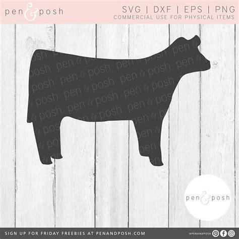 show heifer clipart 10 free Cliparts | Download images on Clipground 2024