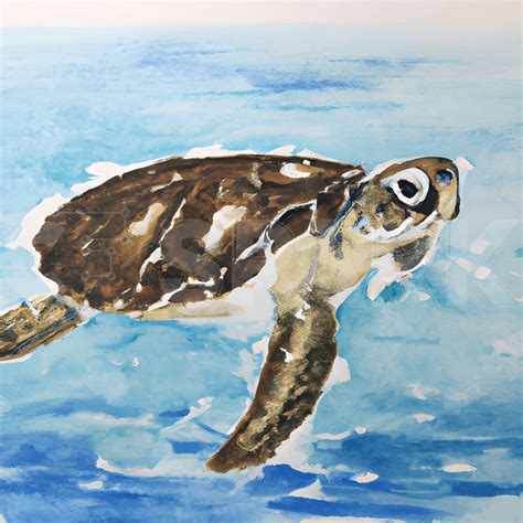 Sea Turtle Watercolor Painting · Creative Fabrica