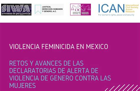 Comunicado Osc Presentan Informe “violencia Feminicida En México”