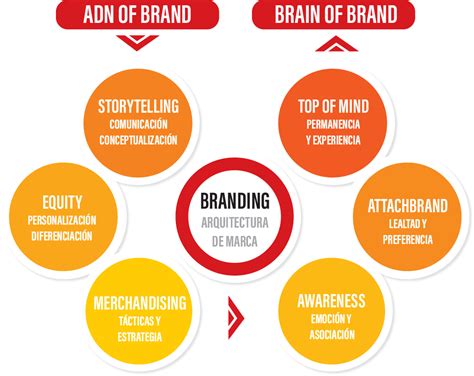 Agencia De Branding Y Gesti N De Marca