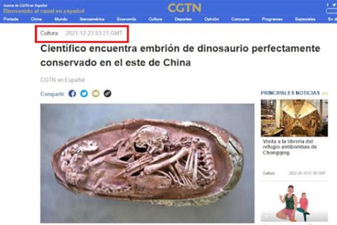 China encuentra embrión de dinosaurio