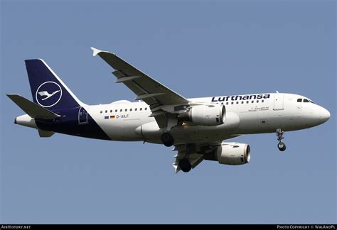 Aircraft Photo Of D Ailf Airbus A Lufthansa Airhistory Net