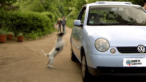 Jump In The Car GIFs - Find & Share on GIPHY