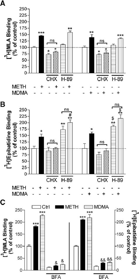 Effects of cycloheximide CHX 1 μg ml and H 89 100 nM on the