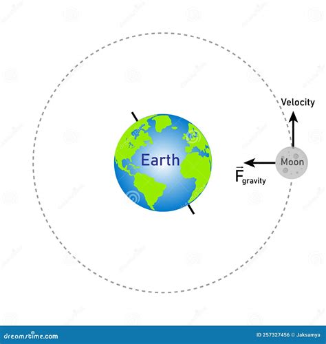 The Moon Moves In A Circular Orbit Around Earth Diagram Vector