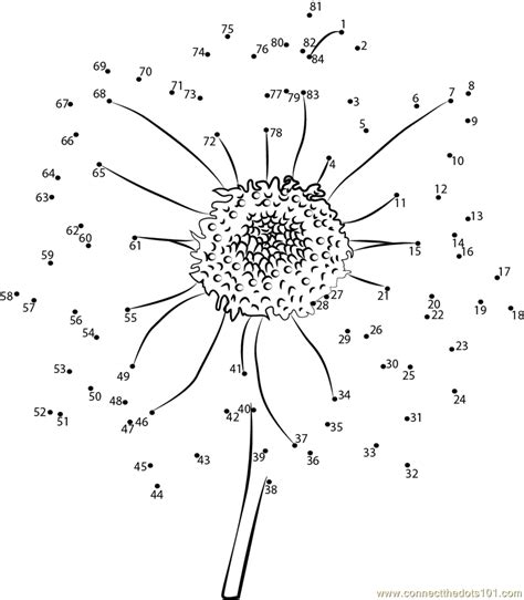 Connect The Dots Sun Flower Flowers Sunflower Dot To Dots Coloring Home