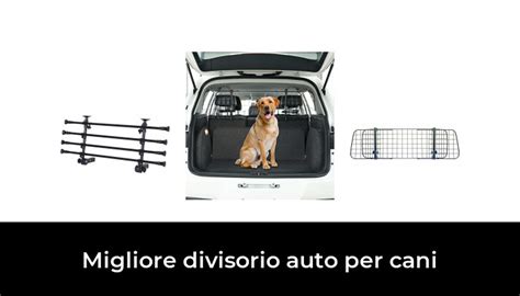 Migliore Divisorio Auto Per Cani Nel Secondo Gli Esperti