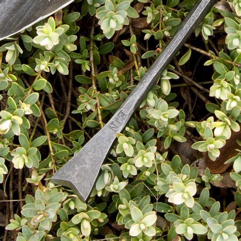 Hand Forged Garden Tools Dandelion Digger Newquist Forge