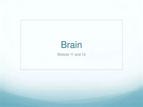 Ppt Brain Powerpoint Presentation Free Download Id 9401720