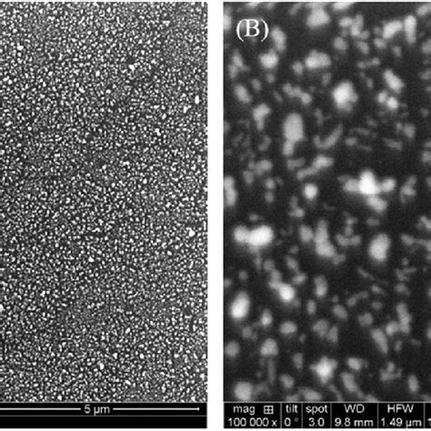 A Sem Image Of The Ag Nanostructure Sers Substrate Scale Bar Five