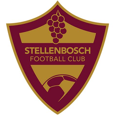 Stellenbosch FC: All the info, news and results