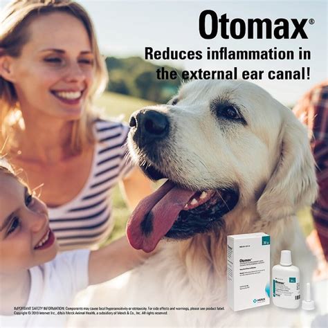 OTOMAX Gentamicin Betamethasone Clotrimazole Otic Ointment For