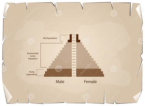 Detail Of Population Pyramids Graphs Depend On Age Stock Vector Illustration Of Data