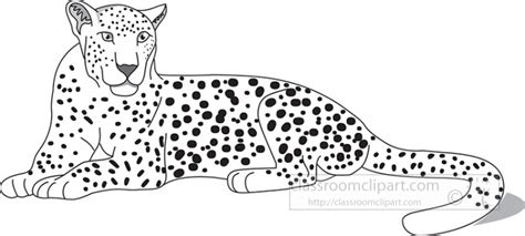 Black Leopard High Res Illustrations Getty Images Clip Art Library