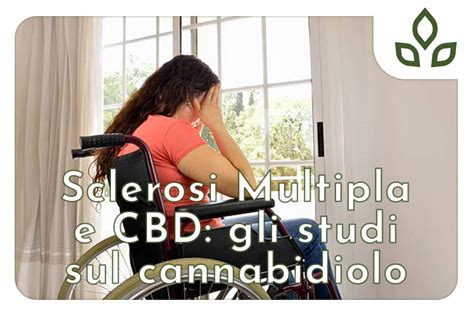 Sclerosi Multipla E CBD Gli Studi Sul Cannabidiolo CBD Therapy Delivery