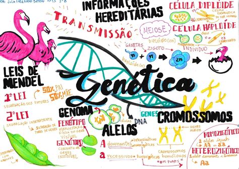 Mapa Mental Sobre Genetica BRAINCP