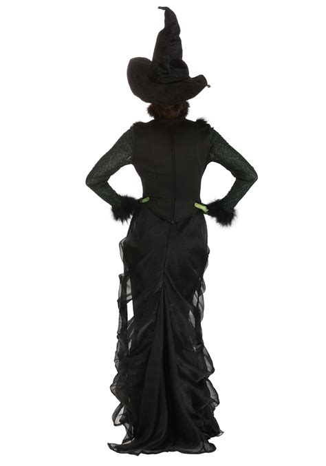 Defiant Wicked Witch Costume For Women Witch Costumes