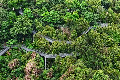 Forest Walk The Forest Walk From Telok Blangah Hill Park T Flickr