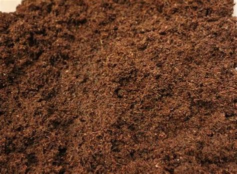 Brown Organic Coco Peat Powder Packaging Type Loose At Rs 5 50 Kg In