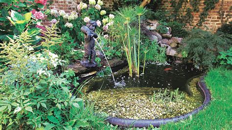 Bassin De Jardin Plantes Aquatiques Creer Un Mini Bassin En 2 Heures