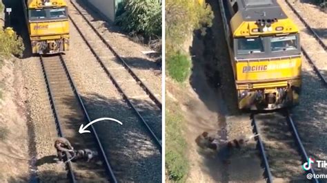 Hombre Salva A Un Perrito Que Iba A Ser Arrollado Por Un Tren Y Video