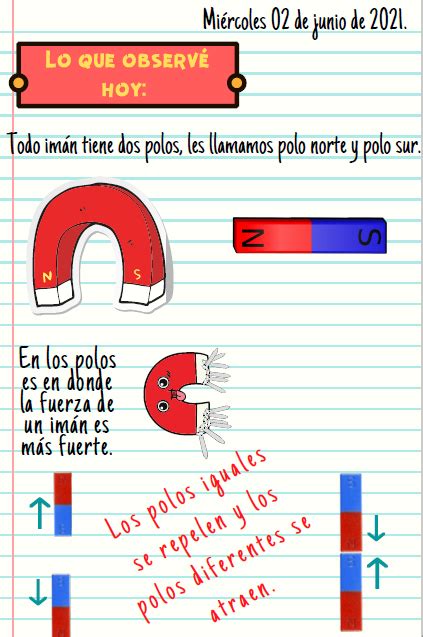 Polos No Tan Opuestos Nueva Escuela Mexicana Digital