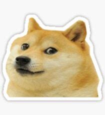 Doge Meme: Stickers | Redbubble