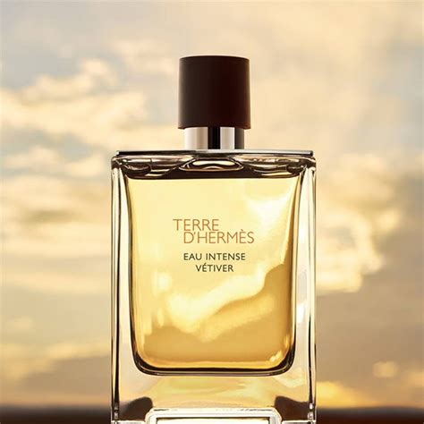 Hermes Terre D Hermes Eau Intense Vetiver Eau De Parfum 200ml Buzz Retailer