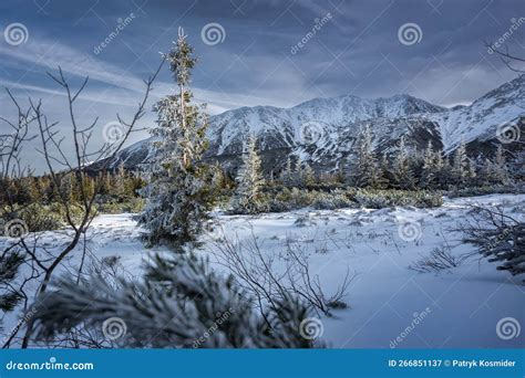 Winter Landscape of Snowy Tatry Mountains. Poland Stock Image - Image of snow, adventure: 266851137