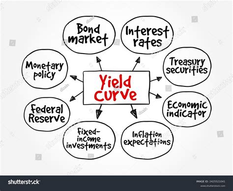 yield curve   plots yields stock vector royalty