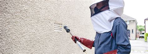 Wasp Nest Removal Rentokil Pest Control