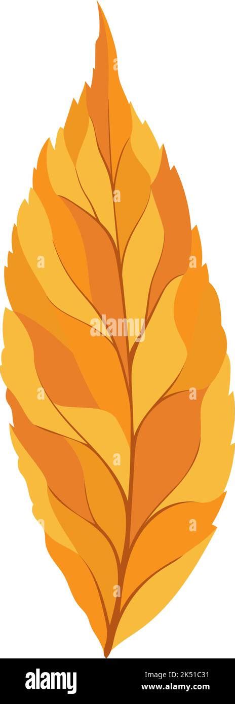 Autumn Ash Tree Leaf Leaf Fall Vector Illustration Stock Vector Image And Art Alamy