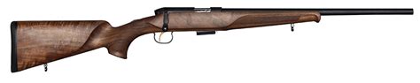 Best Rimfire Rifles Outdoor Life