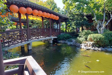 Lan Su Chinese Garden In Old Town Portland Downtown Oregon Discovery