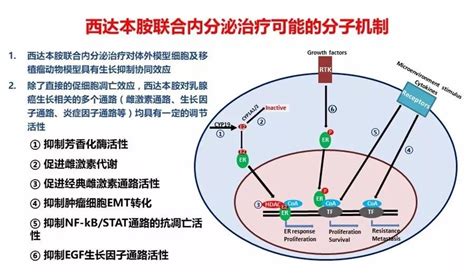 Csco2017 多领域专家共议西达本胺在临床肿瘤治疗中的应用及最新进展 肿瘤瞭望