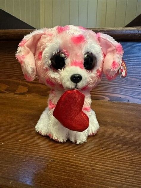 2024 Ty Rory Beanie Babies Boo The Valentines Day Dog 6 Inch New