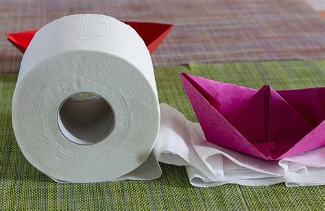 Toilet Paper Boat Paper Ship Origami Red White Green Hygiene