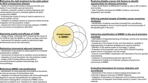 Unmet Clinical Needs And Future Perspectives In Nonmuscle Invasive