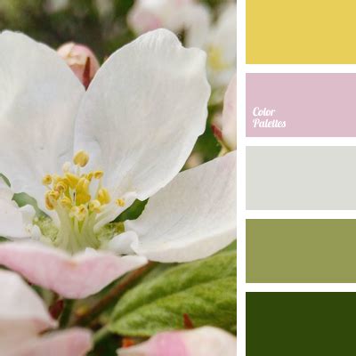 saffron color | Color Palette Ideas