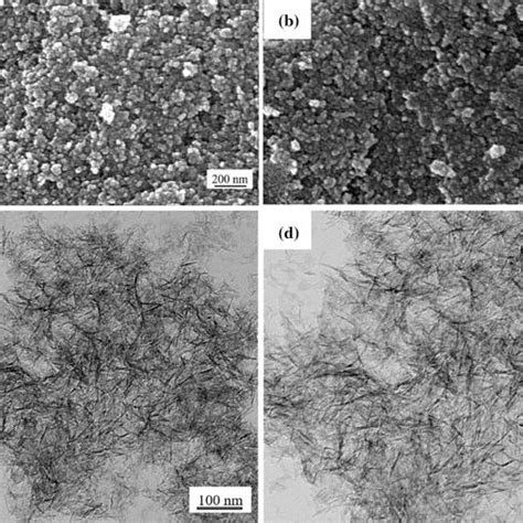 Sem A B And Tem Images C D Of The Pda Functionalized Alumina Download Scientific Diagram