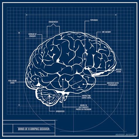 The Brain Of A Graphic Designer In 2023 Brain Graphic Graphic Design