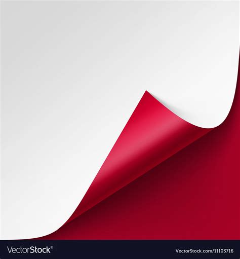 Curled Corner Of White Paper On Red Background Vector Image