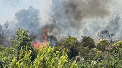 Sanremo dichiarato lo stato di pericolosità per gli incendi boschivi