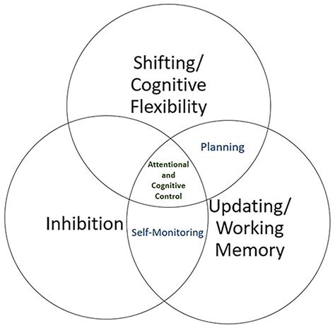 Frontiers Neuro Empowerment Of Executive Functions In The 45 OFF