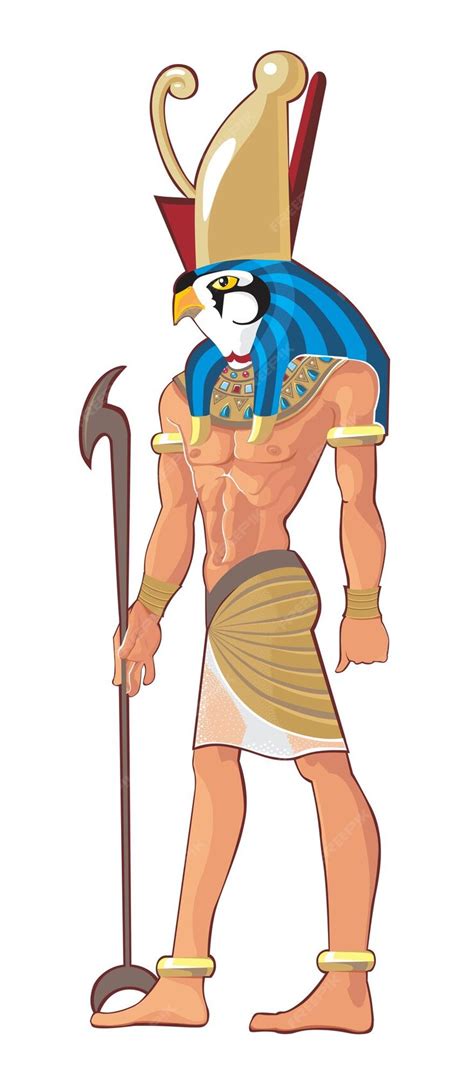 premium vector gor isolated  white background